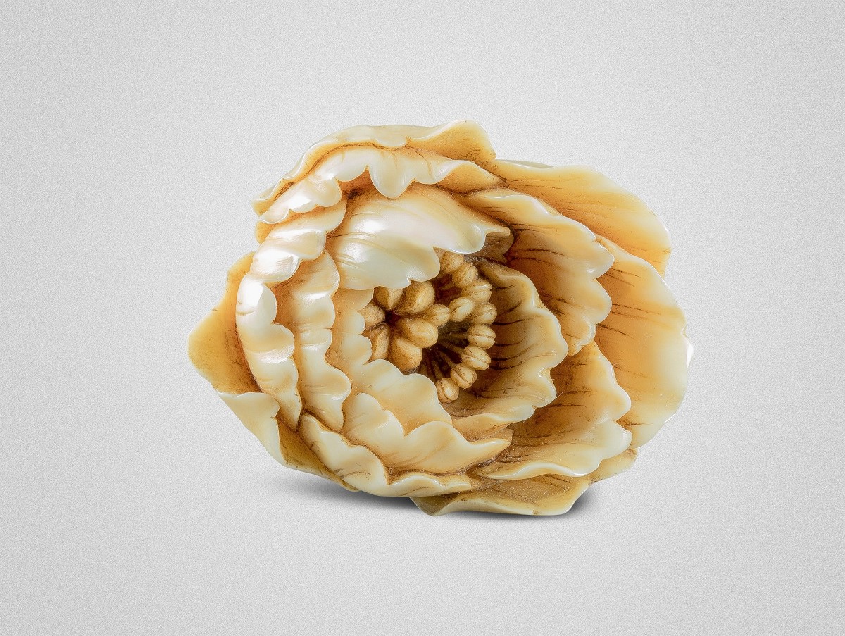 Päonie, Netsuke, Elfenbein, sig.: Yoshiyuki. Japan, Edo-Zeit (1602–1868). Foto: Jean Marie Colrat, St. Gratien